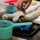A scientist removes the top of the shell revealing the worm living inside. (Image: Marvin Altamia)